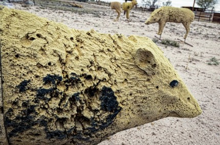 CastingsTatum