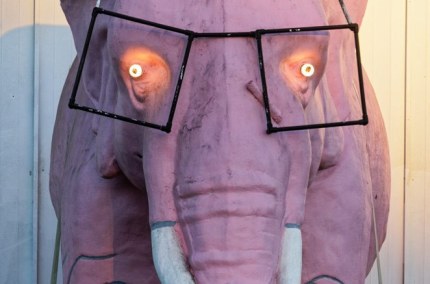 PinkElephantEyesGiantSpectaclesFlorida