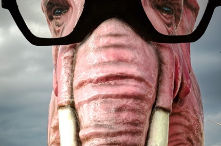 PinkElephant