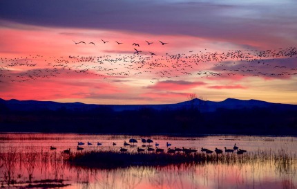 MorningflyoutBosquedelApache