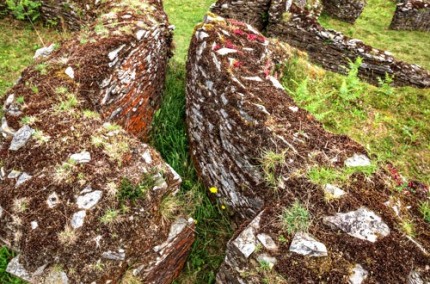 Pre-RomanNaviaArchaeologicalSite