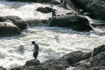 SteelheadSalmonfishersMoricetownBulkley River