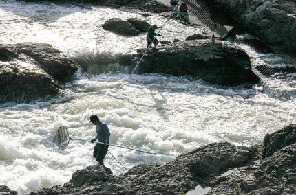 SteelheadSalmonfishersMoricetownBulkley River