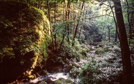 GreatSmokyMountains