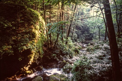 GreatSmokyMountains