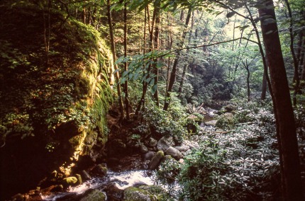 GreatSmokyMountains
