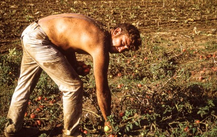 TruckFarmer.Kentucky.60