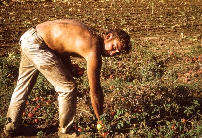 TruckFarmer.Kentucky.60