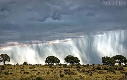 Virga