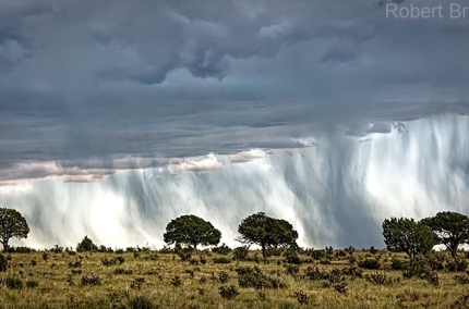 Virga