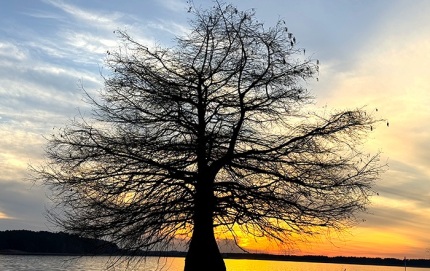 WestPointLake