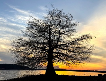 WestPointLake