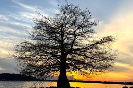 WestPointLake