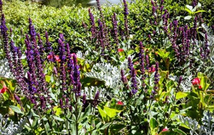 ButchartGardens