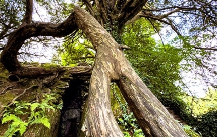 Fairy-Cave.Entrance2