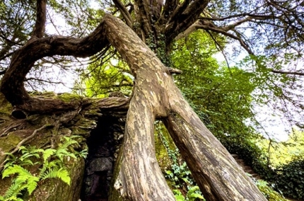 Fairy-Cave.Entrance2