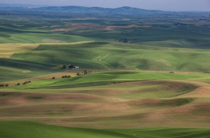 PalousecountryKamiakButte