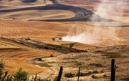 PalousefarmingKamiakButte