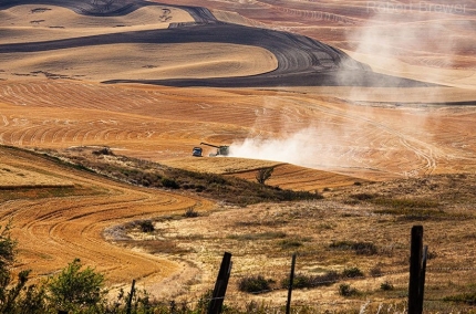 PalousefarmingKamiakButte