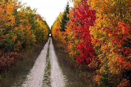 FallTunnelUpperPeninsulaNorthernHardwoodsMichigan